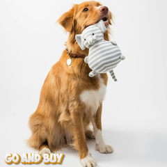 Collection image for: Pet Supplies